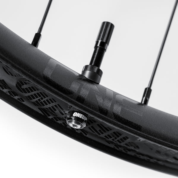 Fillmore Tubeless Valves